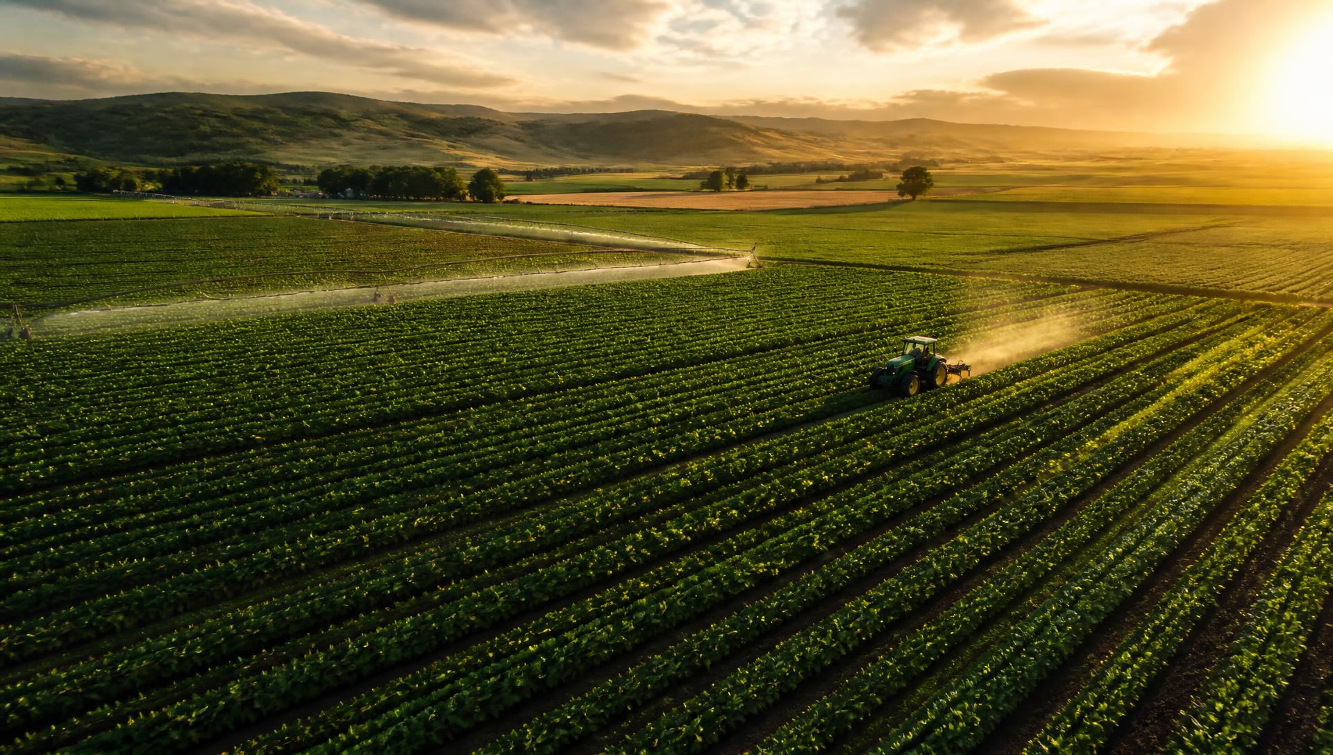 Aerial view of farmland at sunset with a tractor and irrigation